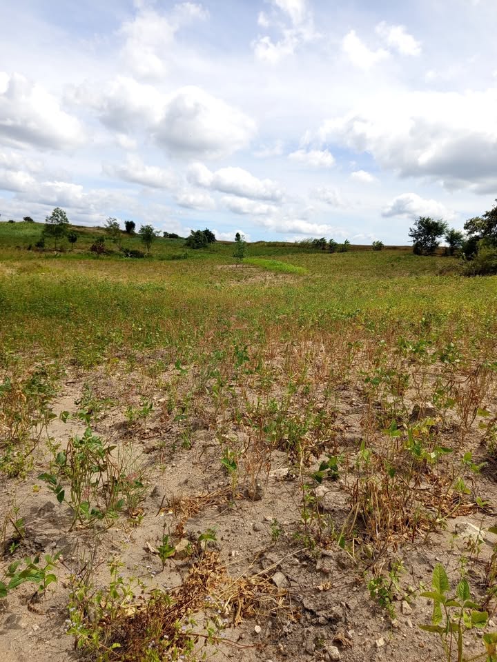 Bán đất Ea Sô, Ea Kar, Đắk Lắk 9,3 sào giá 480 triệu - Sổ hồng bao sang tên!