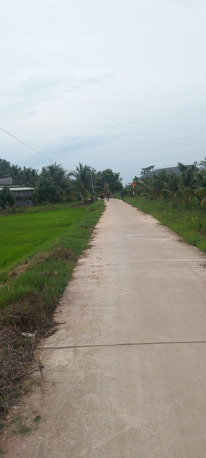 Đất nền Tân Thạnh, Thới Lai 5000m² giá 1 tỷ - Cơ hội đầu tư hấp dẫn!