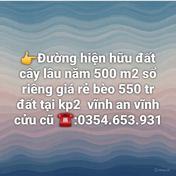 Đất thổ cư 500m² Vĩnh An - Sổ đỏ chính chủ chỉ 550 triệu