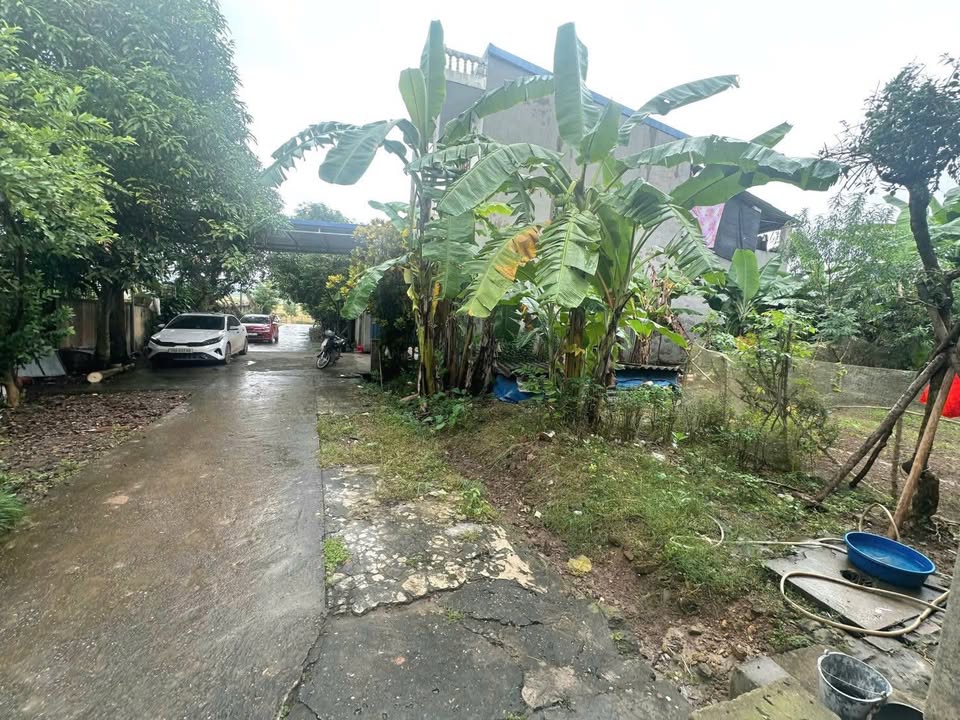 Đất nền An Khánh, Đại Từ 200m² giá thỏa thuận - Cơ hội đầu tư tuyệt vời!