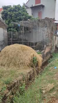 Đất nền Lục Nam Bắc Giang 136m² giá 700 triệu - Cách đường lớn chỉ 30m!