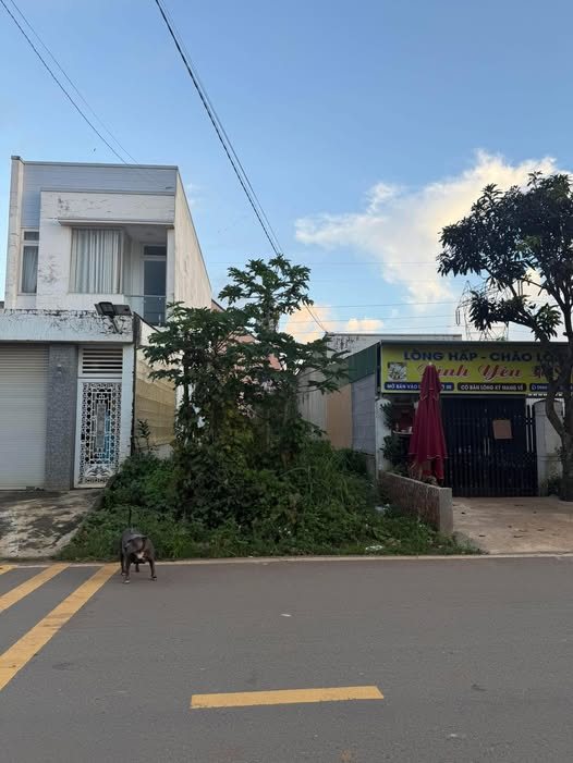 Đất nền đường Trường Chinh, Di Linh 150m² giá 3.6 tỷ - Cơ hội đầu tư hấp dẫn!