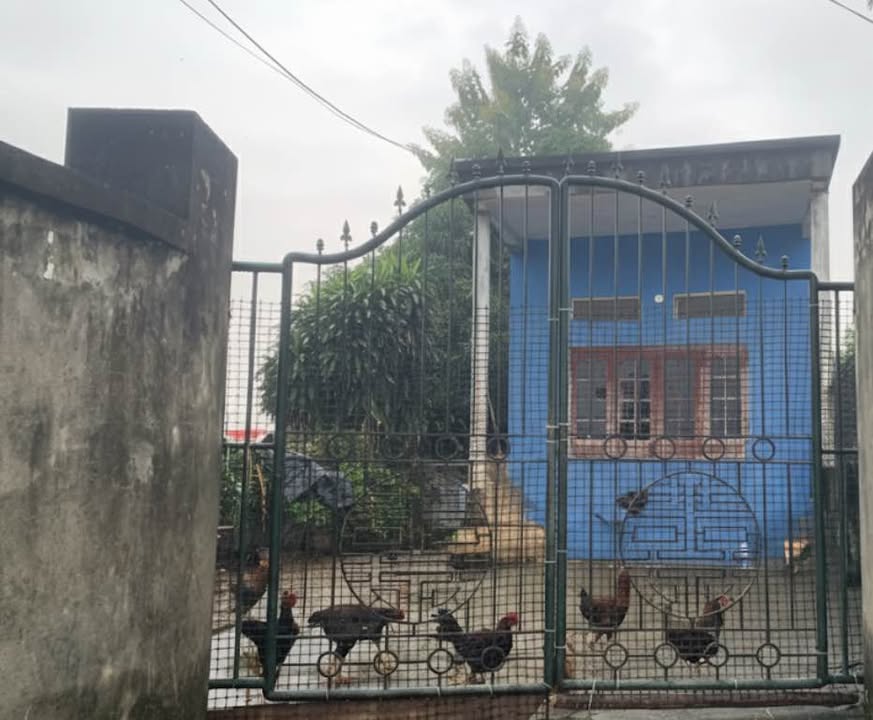 Nhà phố tổ 12 An Tường 257m² giá 1.48 tỷ - Đầu tư sinh lời ngay!