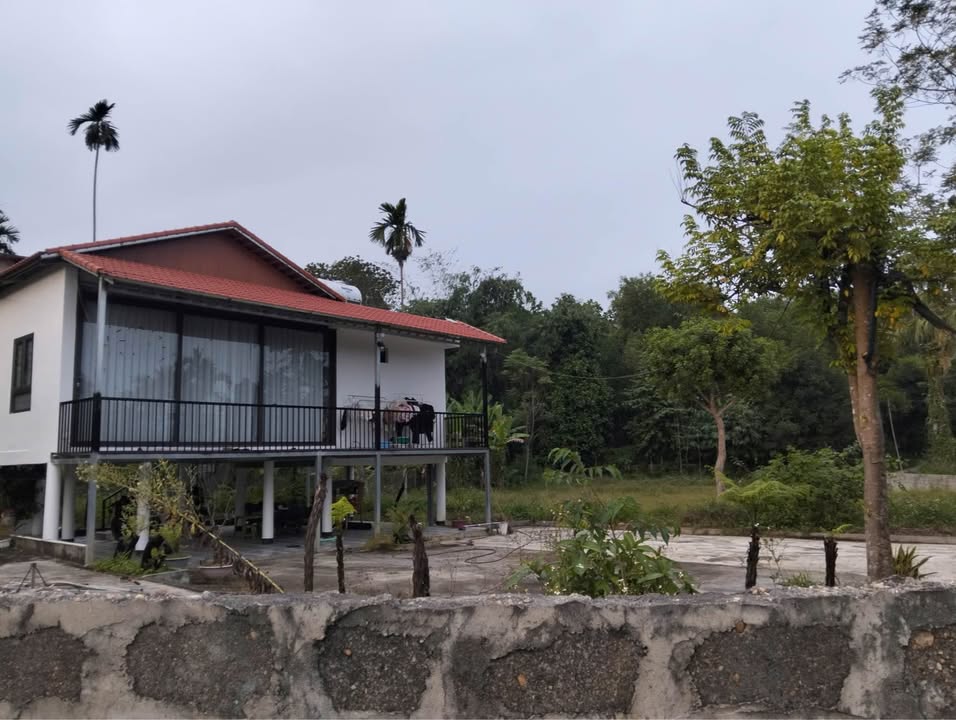 Đất thổ cư 1500m² tại Phường Mỹ Lâm, Tuyên Quang - Sẵn nhà ở ngay!