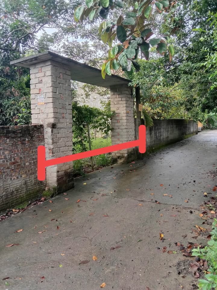 Đất thổ cư Tuyên Quang 200m² giá 1.01 tỷ - Đầu tư sinh lời ngay!