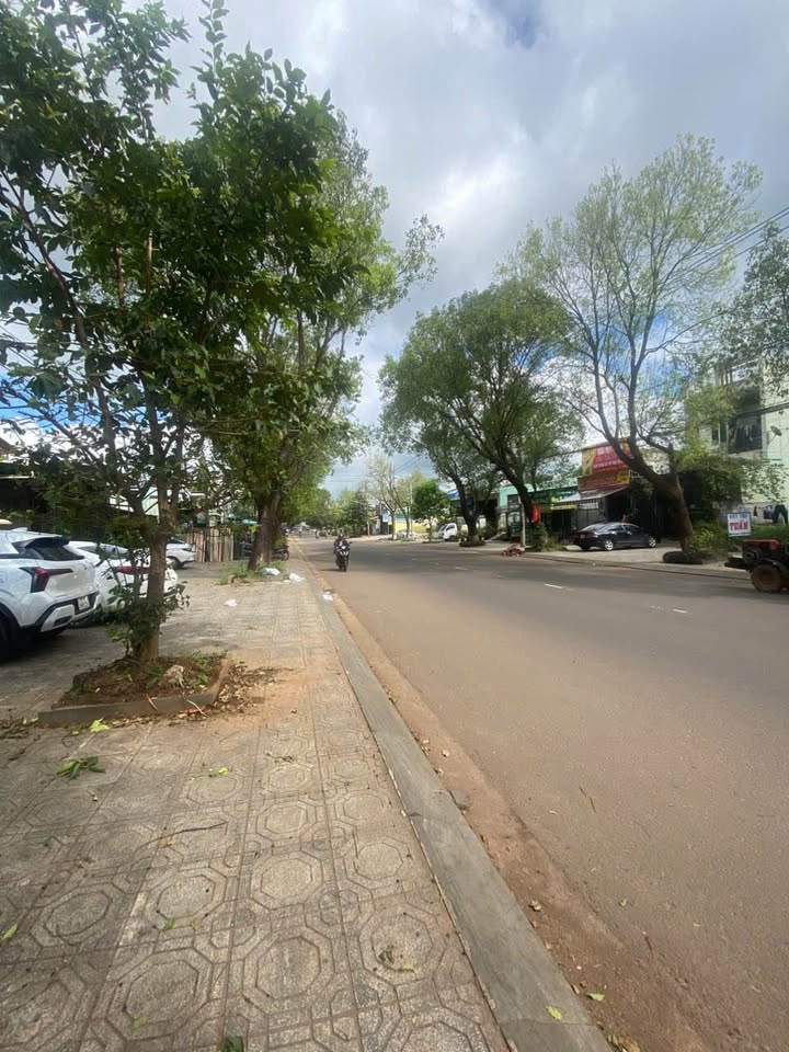 Đất mặt tiền Tôn Thất Tùng Pleiku 137.5m² giá 3.55 tỷ - Vị trí kinh doanh sầm uất!