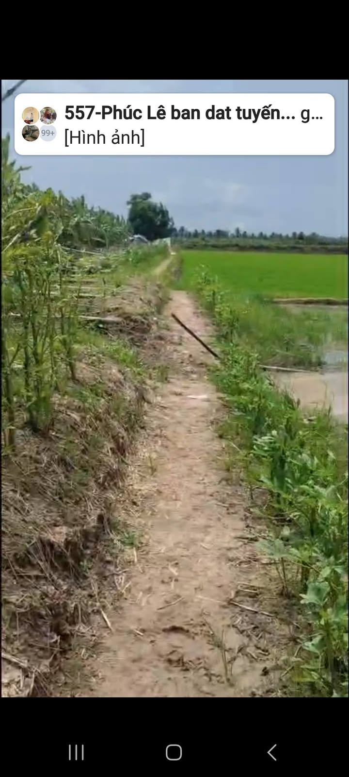 Đất mặt tiền kênh tại phường Sóc Trăng, 3700m² - Giá chỉ 851 triệu!