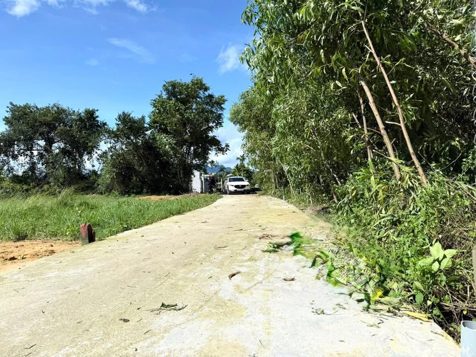 Đất nền Nghĩa Điền, Tư Nghĩa 175m² chỉ 620 triệu - Cơ hội đầu tư tuyệt vời!