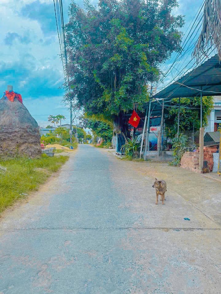 Lô đất 2 mặt hẻm Trường Chinh, Nghĩa Lộ 90m² giá 800 triệu - Cơ hội đầu tư tuyệt vời!