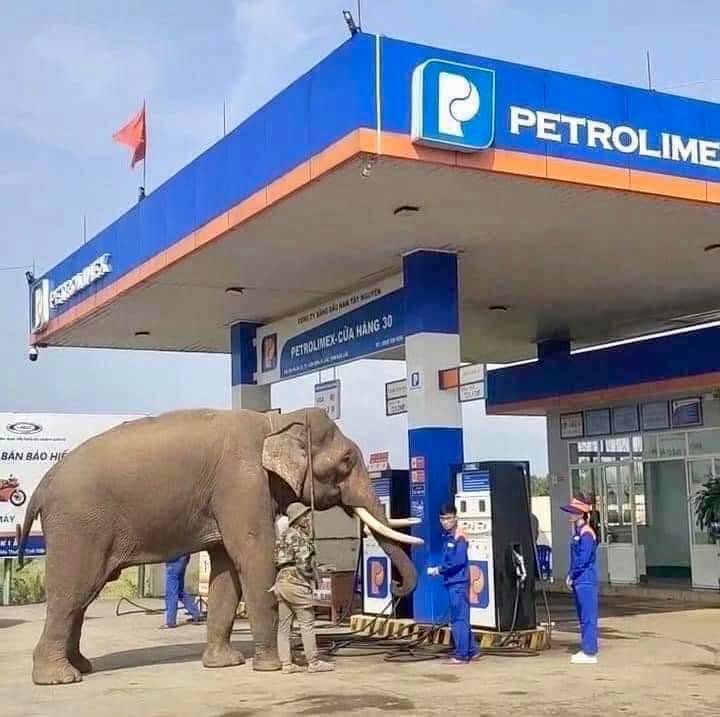 Đất nền Eatu KoTam Buôn Ma Thuột 560m² giá 2.4 tỷ - Khu dân cư an ninh