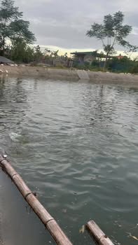 Đất thổ cư 1656m² tại Sông Khoai, Quảng Yên - Cơ hội đầu tư hấp dẫn!