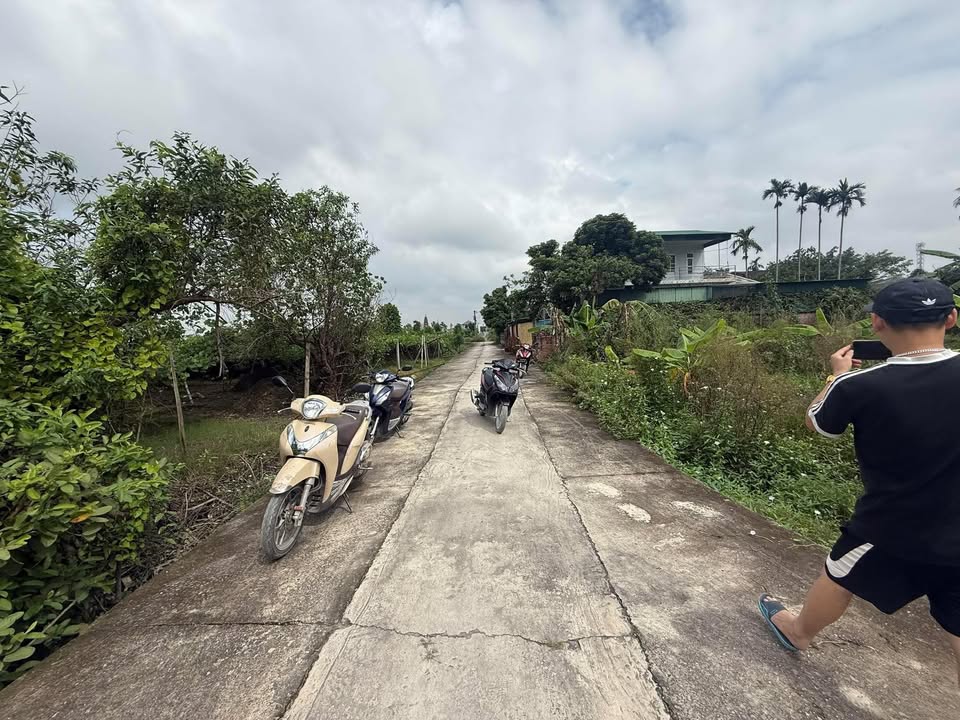 Đất nền phường Thanh Lang 99m² giá chỉ 500 triệu - Đầu tư sinh lời ngay!