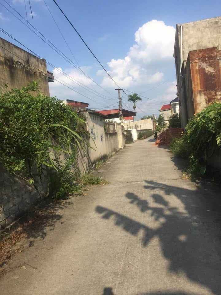 Đất Cổ Thành 213m² giá 1 tỷ - Ngõ thông ô tô vào thoải mái!