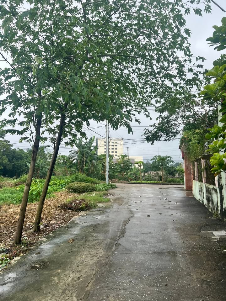 Đất nền Đông Hải 112m² giá chỉ 2.25 tỷ - Mặt tiền 6.92m, hướng Đông Bắc