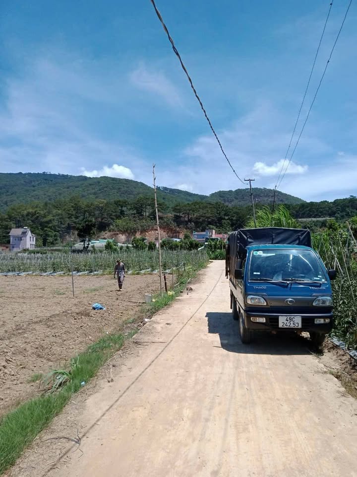 Đất sào Lạc Xuân 1700m² giá 1.2 tỷ - Đầu tư sinh lời ngay!