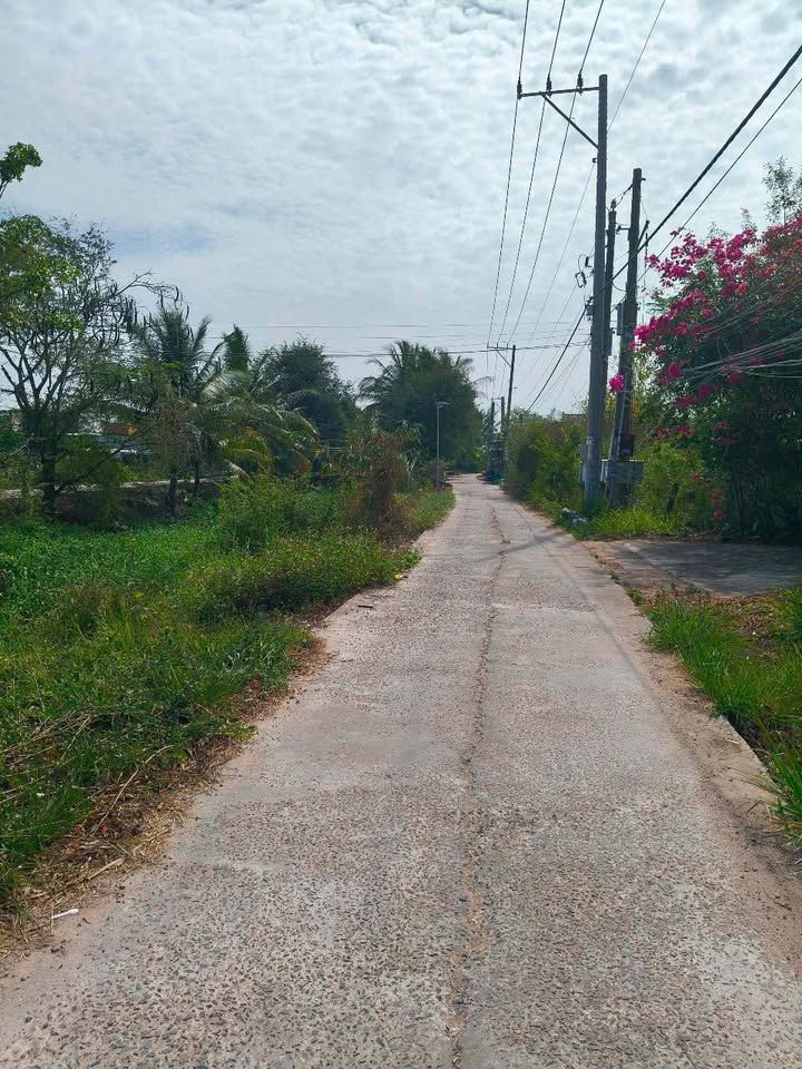 Đất thổ cư mặt tiền đường Kênh Thoát Lũ Phong Nẫm 1400m² giá 3.7 tỷ - Cơ hội đầu tư tuyệt vời!