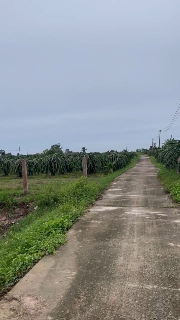 Đất thổ cư 1000m² xã Hàm Liêm - Giá chỉ 470 triệu, đầu tư sinh lời!