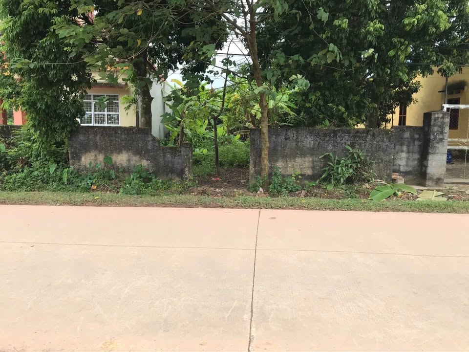 Đất nền chính chủ tại Đồng Liên, Thái Nguyên 280m² - Cơ hội đầu tư hấp dẫn!