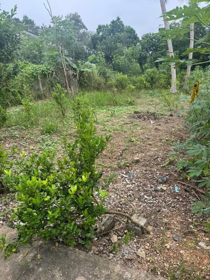 Lô đất đẹp tại Quyết Thắng, Thái Nguyên 400m² chỉ 2.1 tỷ - Cơ hội đầu tư lý tưởng!