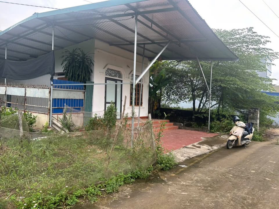 Đất thổ cư Phú Xá 260m² giá 3.2 tỷ - Cơ hội đầu tư hấp dẫn!