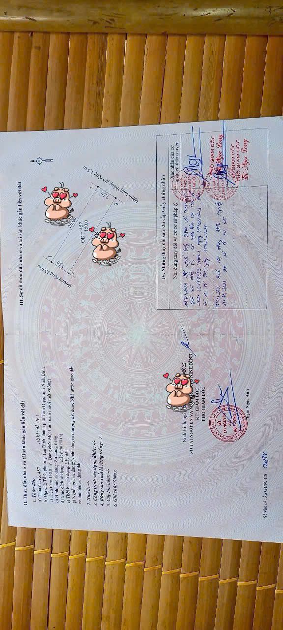 Đất nền Tổ 9, phường Tân Bình, Tam Điệp 150m² giá 1.3 tỷ - Cơ hội đầu tư tuyệt vời!