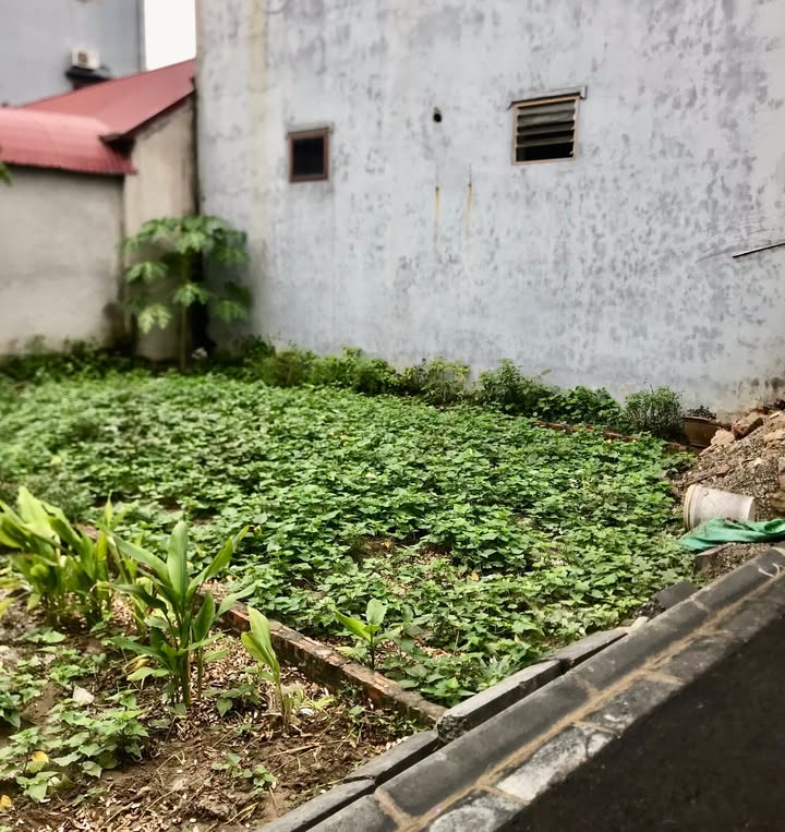 Đất nền xã Việt Hùng Đông Anh 50m² giá 3 tỷ - Ô tô vào tận nơi!