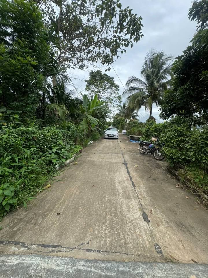 Đất nền đường Nguyễn Khuyến, phường Thắng Lợi, 250m² - Gần chợ, tiện ích đầy đủ!