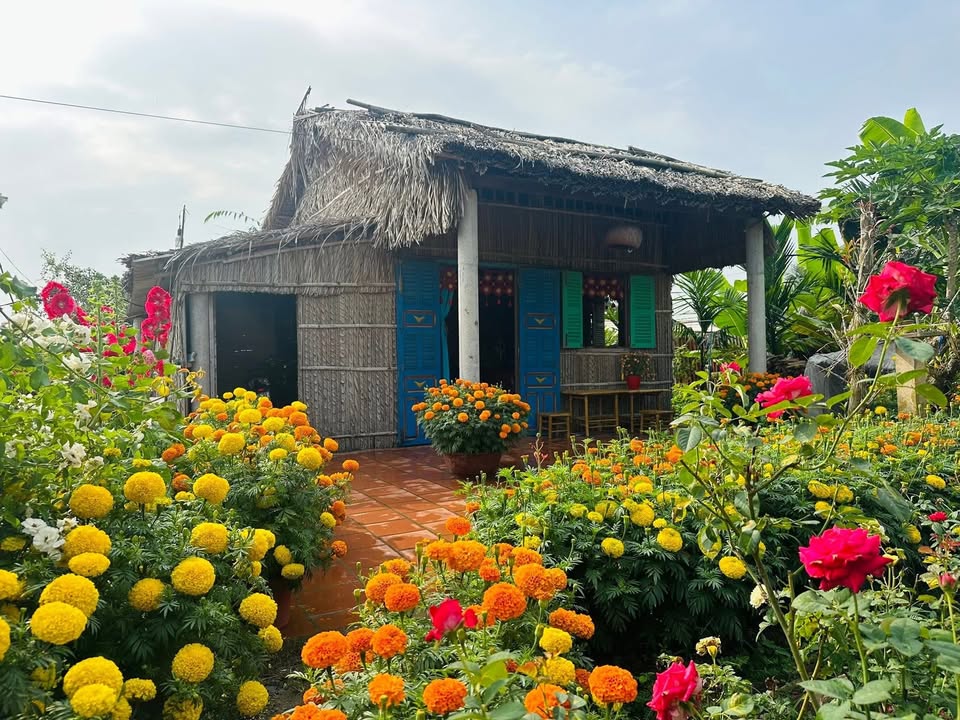 Đất nền Lộc Phú 1440m² giá 400 triệu - Không gian sống yên bình