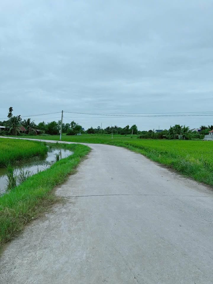 Đất thổ cư 176m² tại Ấp Nhơn Hòa 1, Đức Hòa - Giá chỉ 950 triệu!