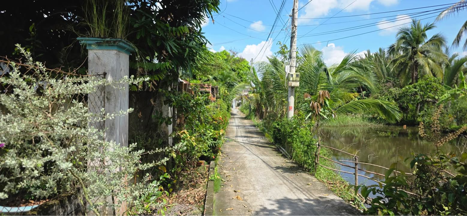 Nhà cấp 4 Hướng Thọ Phú 184m² giá 2 tỷ - Chính chủ bán gấp!