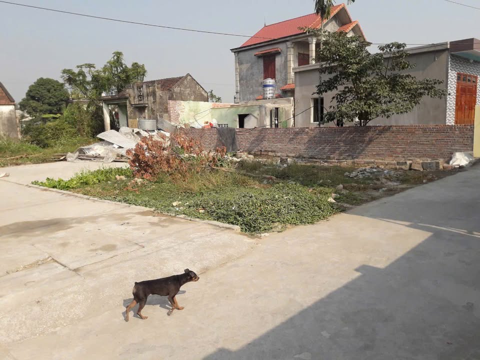 Đất nền Quốc Tuấn - An Lão 80m² giá 1,05 tỷ - Đường ô tô vào tận nơi!