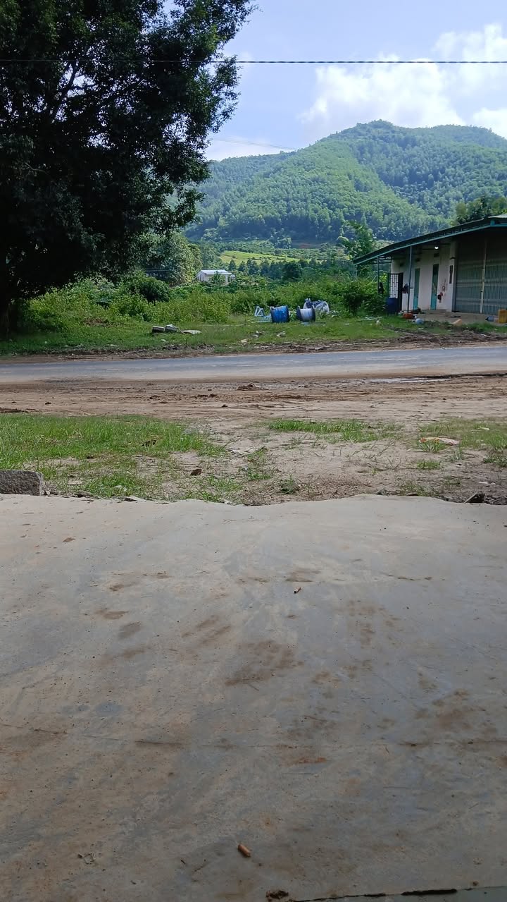 Đất nền mặt tiền Quốc Lộ 27, xã Krông Nô, Đắk Lắk 1200m² - Giá tốt chính chủ!