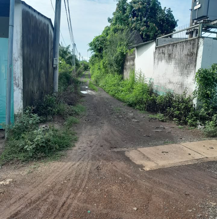 Đất nền Bảo Vinh, Long Khánh, Đồng Nai 1000m² giá chỉ 1.25 tỷ - Cơ hội đầu tư tốt!