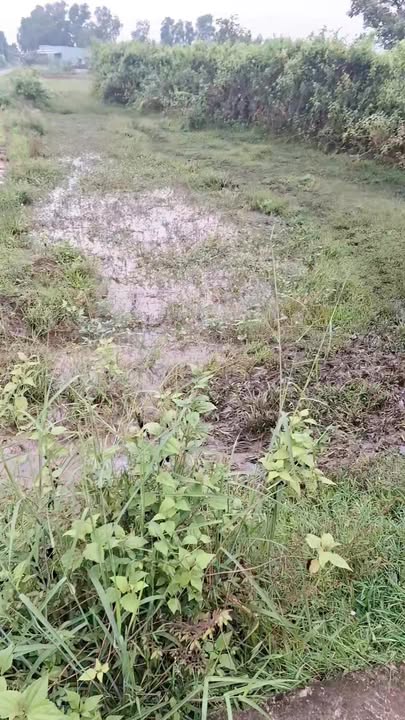 Đất nền 702m² Hòa Khánh Tây, Đức Hòa - Mặt tiền đường bê tông, chỉ 2 tỷ!