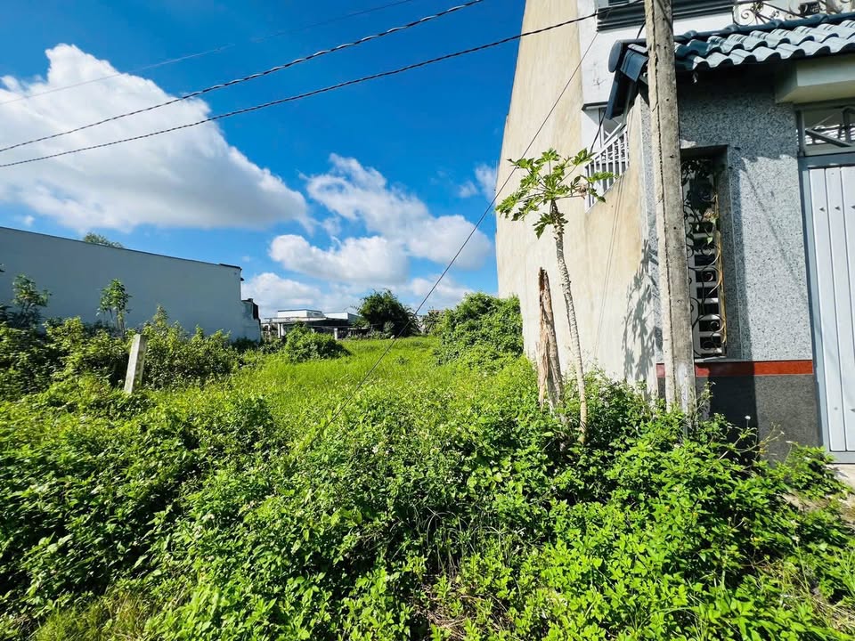 Đất nền Tỉnh Lộ 824, Đức Hòa, Long An, 90m² giá 1.3 tỷ - Cơ hội đầu tư tuyệt vời!