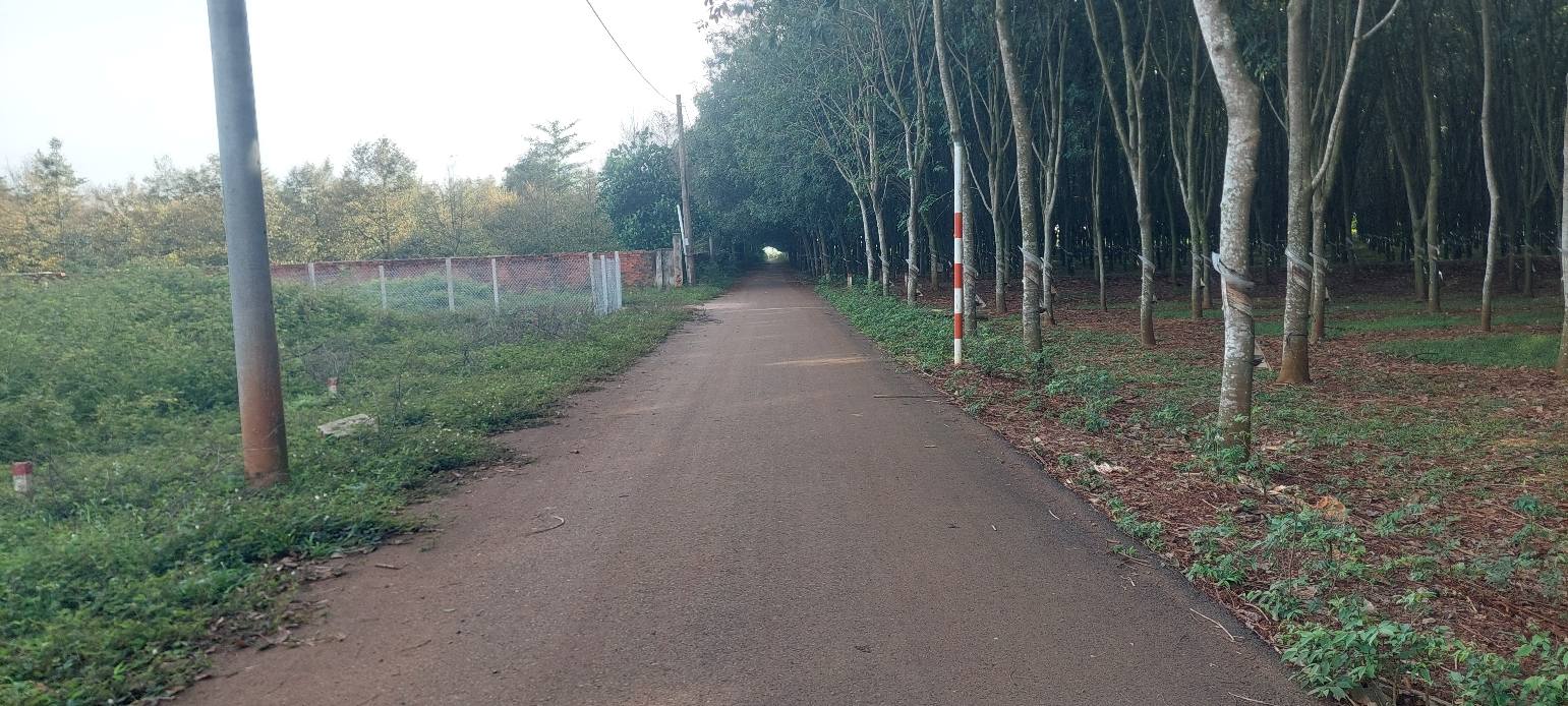 Đất thổ cư Ngãi Giao 138m² giá 650 triệu - Đường nhựa xe hơi thông thoáng!