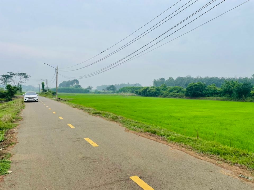 Đất thổ cư Long Phước 2860m² giá 7 tỷ - Tiềm năng đầu tư cao!