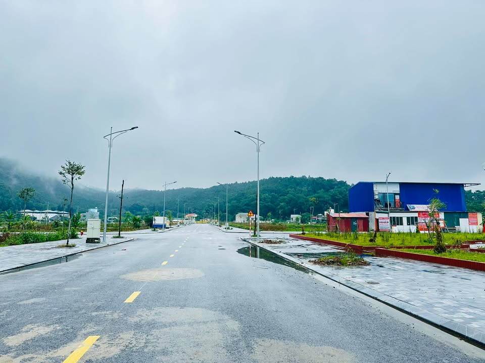 Đất nền Rừng Thông, Đông Sơn 100m² giá 1.5 tỷ - Sổ đỏ chính chủ, xây dựng ngay!