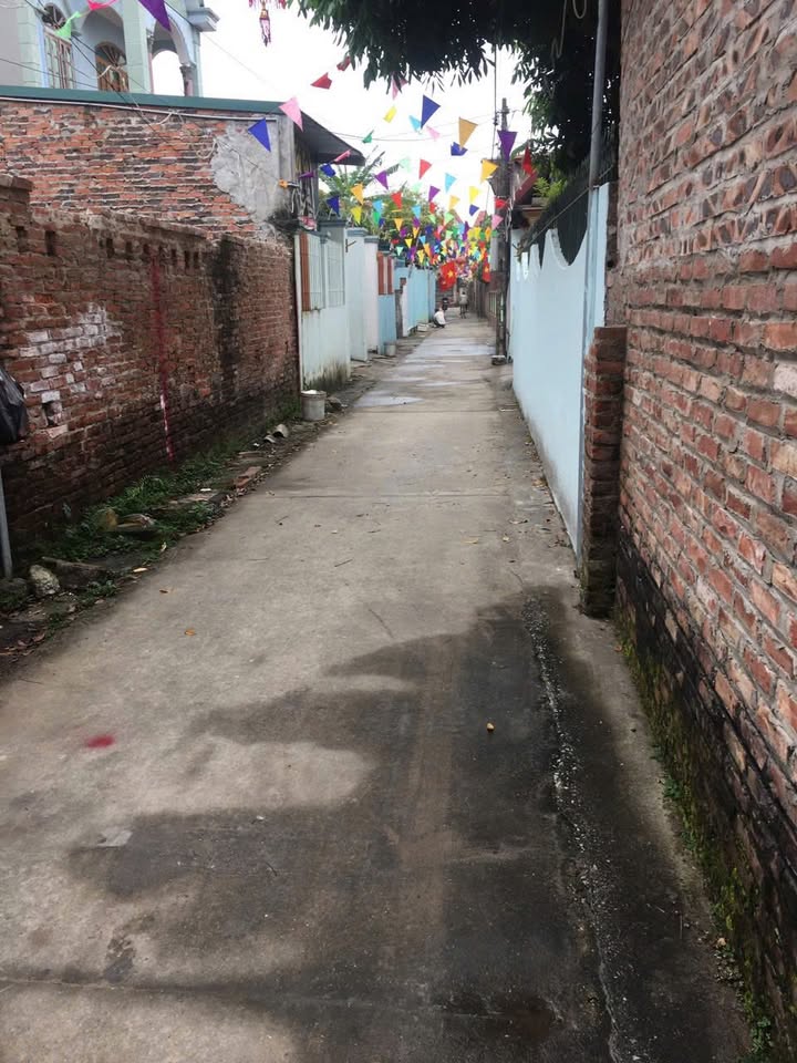 Đất nền Đào Viên, Quế Võ 88m² giá 1.19 tỷ - Sổ đỏ chính chủ, ô tô vào tận nơi!