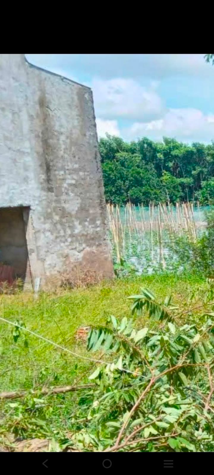 Đất nền Tân Nghĩa 95m² giá chỉ 350 triệu - Sổ hồng đầy đủ, không lấn chiếm!