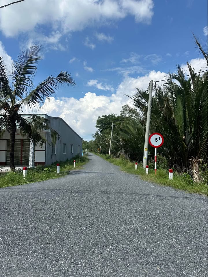 Đất nền Long Đức Trà Vinh 115m² giá chỉ 520 triệu - Đầu tư lý tưởng!