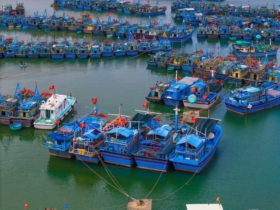 Đất nền Ninh Diêm 121m² giá 1.35 tỷ - Đường ô tô, khu dân cư đông đúc!