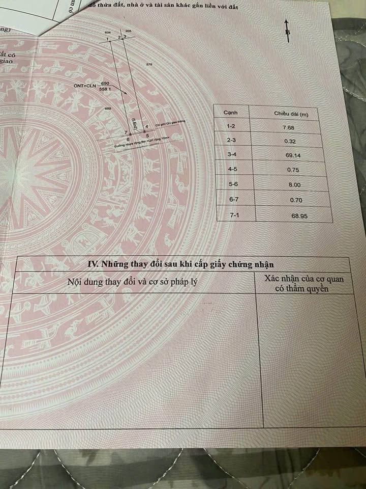 Đất nền 560m² tại đường D3, Tân An - Chỉ 2.4 tỷ, cơ hội vàng cho nhà vườn!