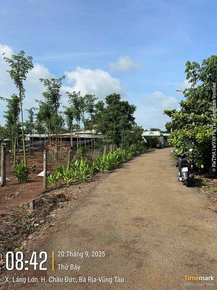 Đất Láng Lớn 1000m² giá 1.6 tỷ - Mặt tiền đường nhựa, đầu tư sinh lời!