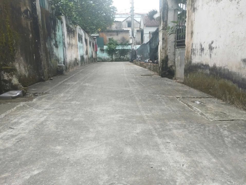 Đất nền Đan Phượng 60m² - Vị trí trung tâm, giá thỏa thuận hấp dẫn!