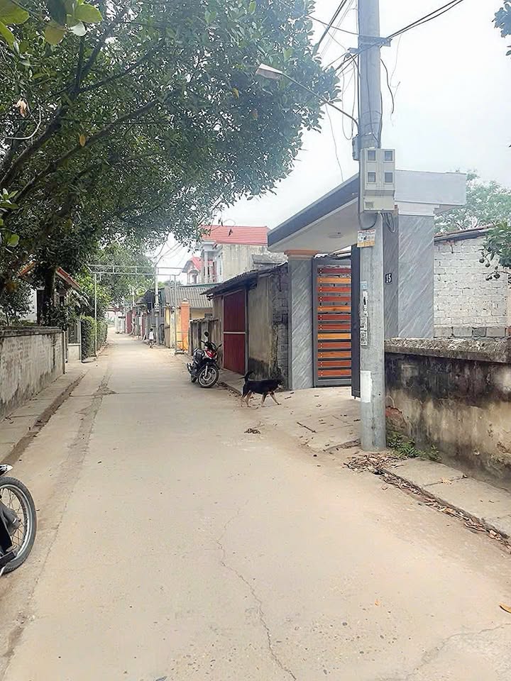 Đất nền Vân Phúc Phúc Thọ 110m² - Đầu tư sinh lời ngay!