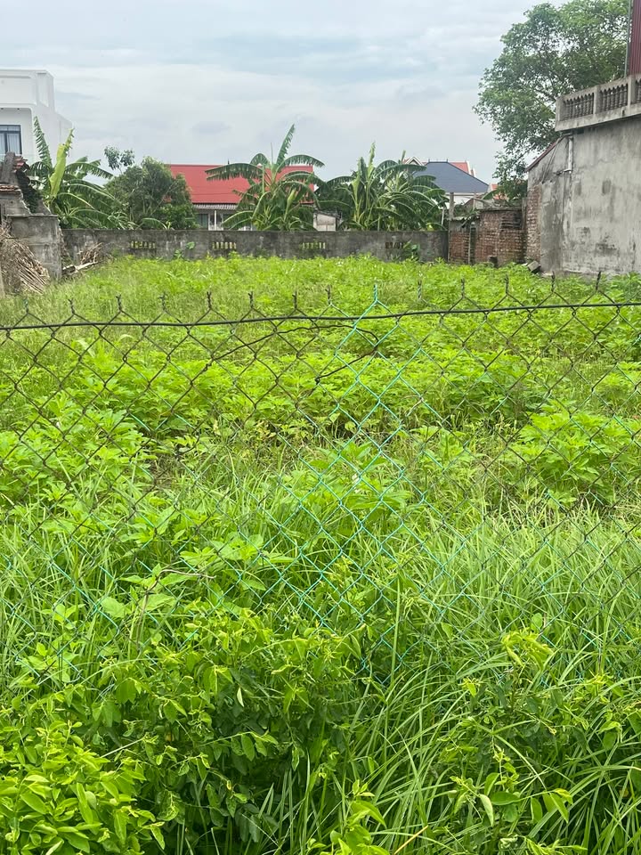 Đất thổ cư Xóm 3, Nam Điền 123m² giá 900 triệu - Sổ đỏ chính chủ, vị trí đắc địa!