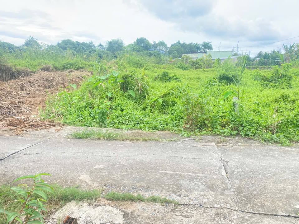 Đất nền chính chủ P Tân Ngãi, Vĩnh Long 111.7m² giá 390 triệu - Cơ hội đầu tư hấp dẫn!