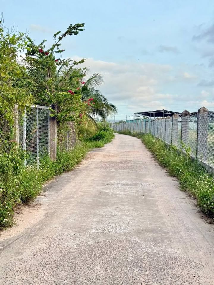 Đất Farm 1800m² tại Hàm Liêm, Bình Thuận - Giá chỉ 630 triệu, cơ hội đầu tư tuyệt vời!