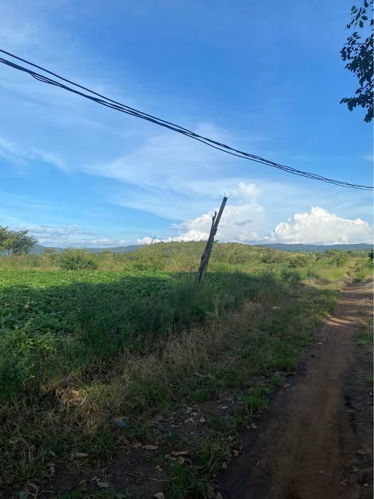 Đất nền 2,3ha tại xã Ia Le, Gia Lai - Giá chỉ 650 triệu - Cơ hội đầu tư tuyệt vời!